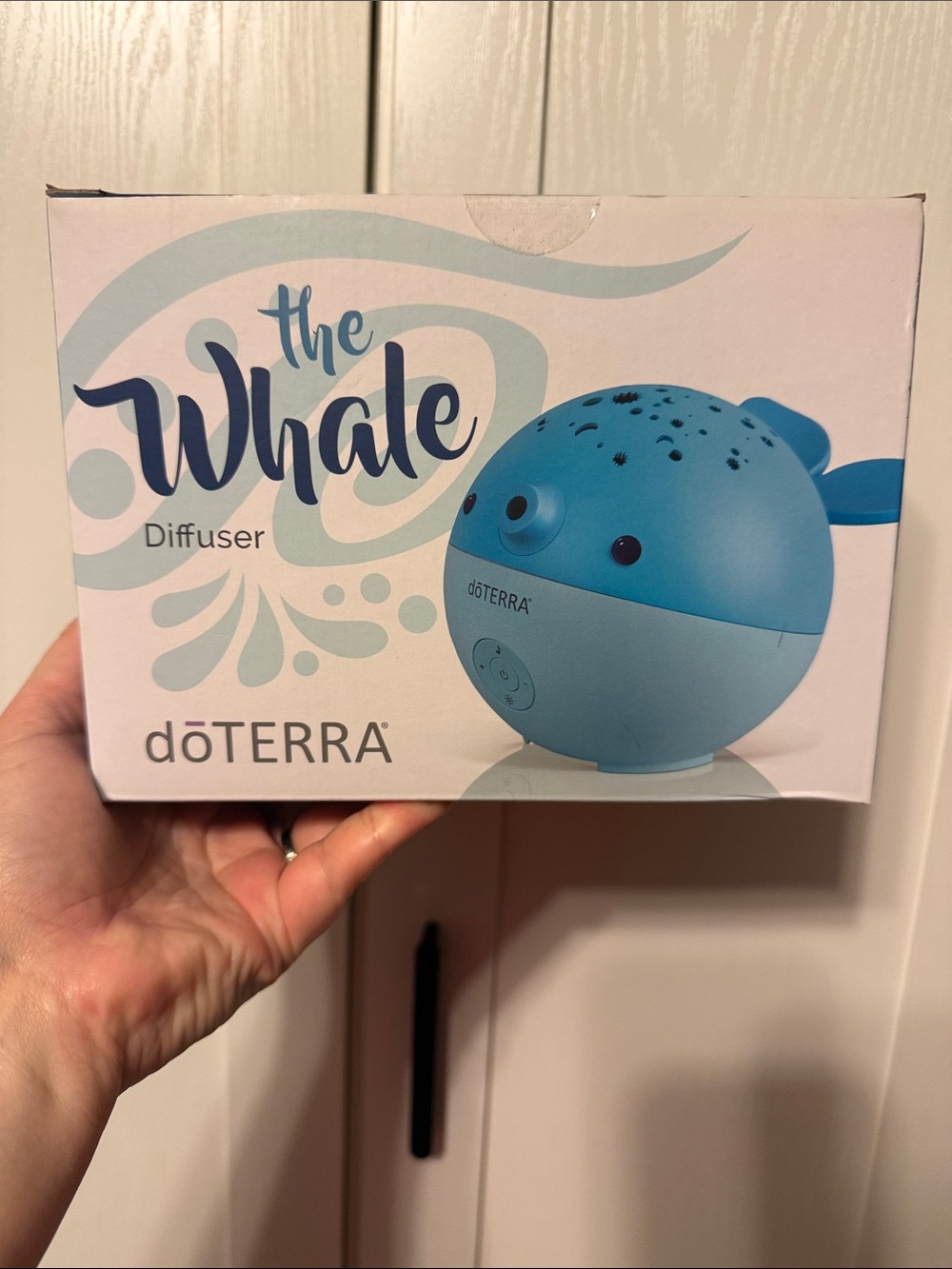 Diffuser (not a bath/body product)